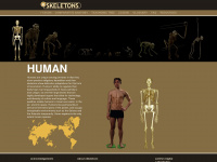 eskeletons.org Webseite Vorschau