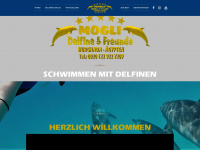 delfinschwimmen-mogli.de Webseite Vorschau
