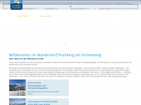 puchberg.at Webseite Vorschau