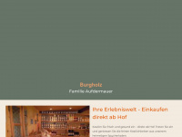 burgholz.ch Webseite Vorschau
