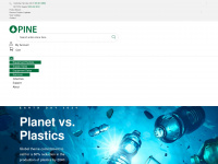 pine-environmental.com Webseite Vorschau