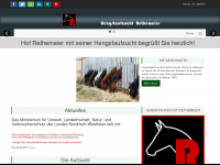 rethemeier.info Webseite Vorschau