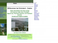 gruendach-czebra.de Webseite Vorschau