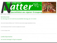 natter-derhofmetzger.at Webseite Vorschau