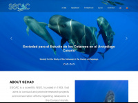 cetaceos.org Webseite Vorschau