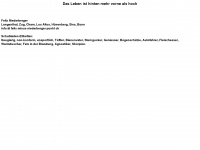 felix-niederberger.ch Webseite Vorschau