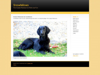 snowfellows.ch Webseite Vorschau