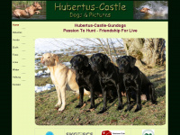 hubertus-castle.ch Webseite Vorschau