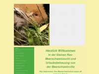meerschweinvilla.de Webseite Vorschau