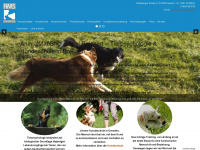 animalmanship.de Webseite Vorschau