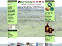 borowice.pl Webseite Vorschau
