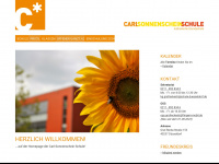 carlsonnenschein-schule.de Webseite Vorschau