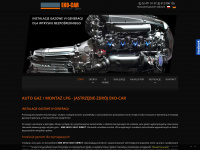 eko-car.com Webseite Vorschau