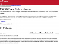 trianel-hamm.de Webseite Vorschau