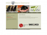iagoblackdiamond.ch Webseite Vorschau