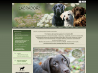 labradori.fi Webseite Vorschau