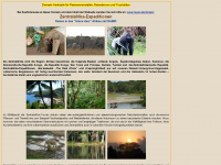 zentralafrika-expeditionen.de Webseite Vorschau