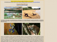 guyana-expeditionen.de Webseite Vorschau