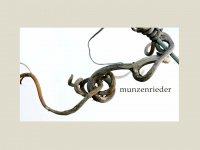 munzenrieder.at Webseite Vorschau