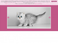 grafixx-cats.de Webseite Vorschau