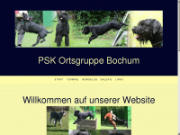 psk-og-bochum.de Webseite Vorschau