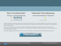 borerconsulting.ch Webseite Vorschau