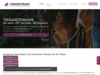 zeitelhack.info Webseite Vorschau