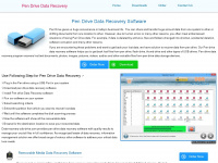 data-recovery-usb-drive.com Webseite Vorschau
