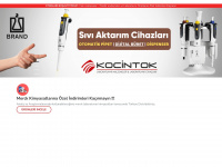 kocintok.com.tr Webseite Vorschau