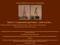 treibholzwelt.at Webseite Vorschau