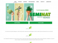 seminat.it Webseite Vorschau