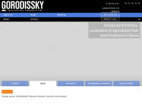 gorodissky.com Webseite Vorschau
