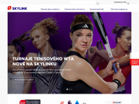 skylink.cz Webseite Vorschau