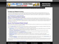 professional-website-hosting.com Webseite Vorschau