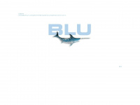 blu-agentur.ch