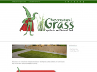 supernaturalgrass.com.au