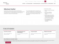 waescherei-haslital.ch Webseite Vorschau