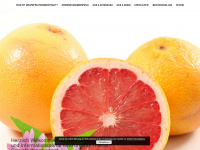 grapefruitkernextrakt.de Webseite Vorschau