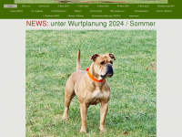 continentalbulldog.com Webseite Vorschau