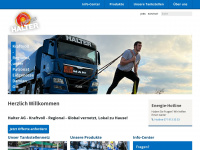 halter-energie.ch Webseite Vorschau