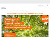 oedp-muenstermaifeld.de Webseite Vorschau