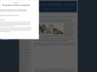 cat-breed-info.com Webseite Vorschau