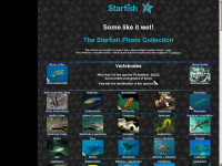 starfish.ch