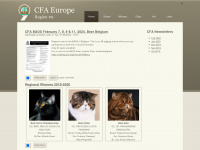 cfaeurope.org Webseite Vorschau