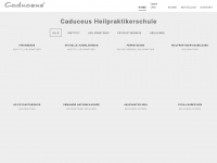 heilpraktikerschulen.info Webseite Vorschau