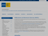 angell-montessori.de Webseite Vorschau