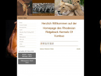 vumbuo.ch Webseite Vorschau