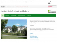 ifik.unibe.ch Webseite Vorschau