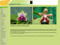 orchideen-tinchen.de Webseite Vorschau