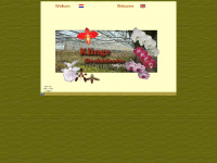 orchids-klinge.com Webseite Vorschau